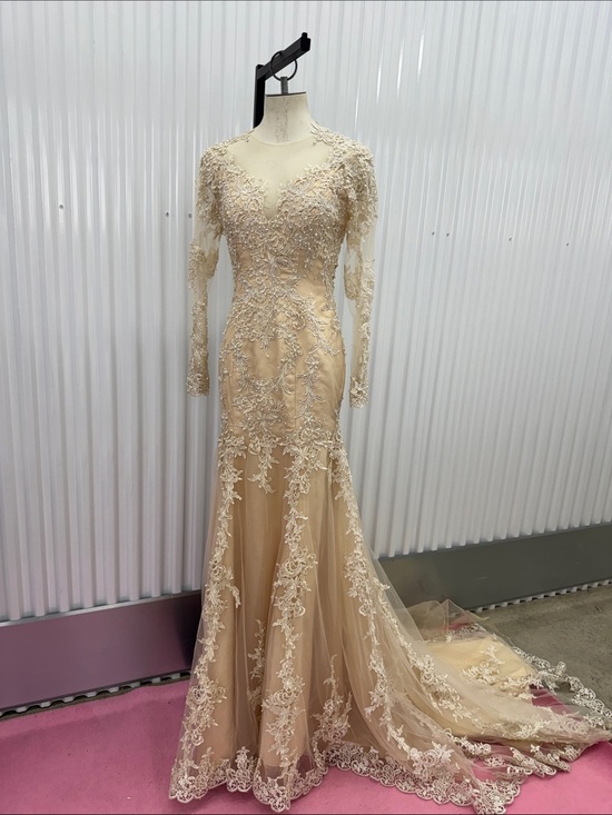 Dresses & Skirts - Elegant Lace Long Sleeve Dress